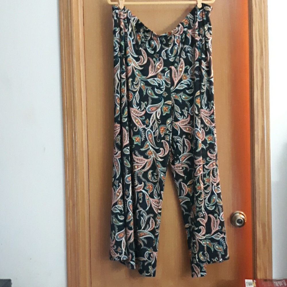 Slinky Brands Pants